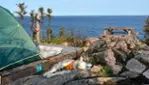 Vacances Essipit - Whale Watching Cruises & Sea Kayaking 