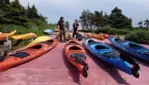 Vacances Essipit - Whale Watching Cruises & Sea Kayaking 