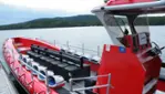 Vacances Essipit - Whale Watching Cruises & Sea Kayaking 