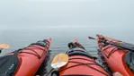 Vacances Essipit - Whale Watching Cruises & Sea Kayaking 