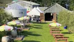 Cidrerie Michel Jodoin - Cider at its finest, in the heart of the orchard!