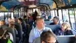 Gray Line Ottawa -  Wine and Cider Tour