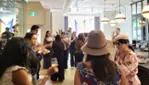 Gray Line Ottawa -  Wine and Cider Tour