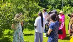 Gray Line Ottawa -  Wine and Cider Tour