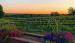 Gray Line Ottawa -  Wine and Cider Tour