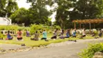 Jardins Michel Corbeil - Guided Tours - Activites