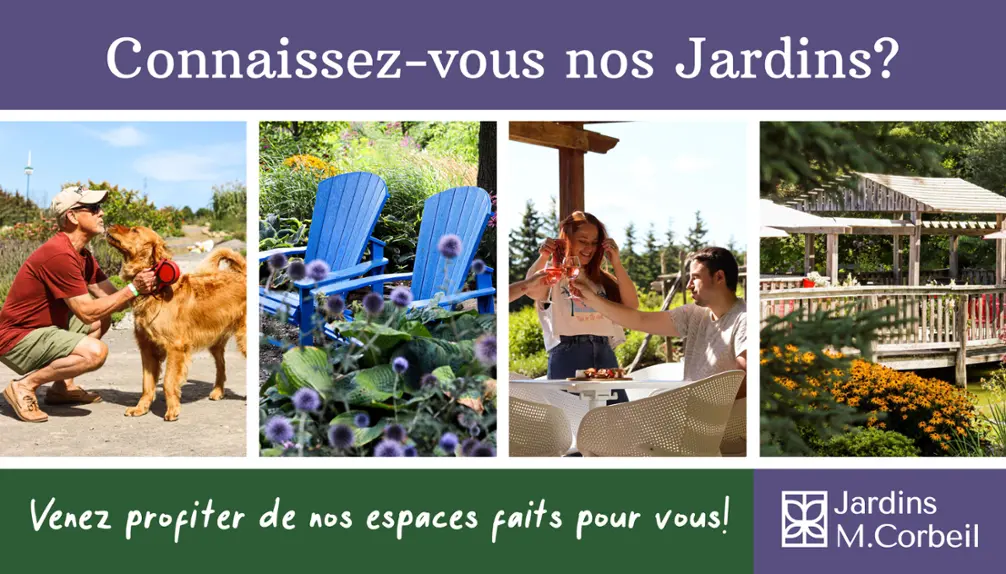 Jardins Michel Corbeil - Guided Tours - Activites
