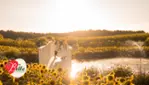 La Belle de Coteau-du-Lac: Your Family Agrotourism Destination