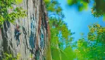 Harmony Fridays in Saint-Côme - Events