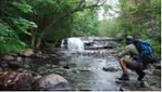 Harmony Fridays in Saint-Côme - Events