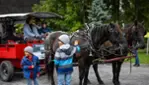 Le Festival de la Soupe - Join us on Sunday, September 7, 2025,