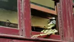 Railway Ghosts – A Halloween Treat