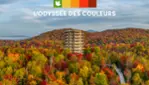  THE ODYSSEY OF COLORS – The Best View of Fall