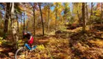 Parc du Massif du Sud