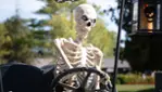Halloween at Parc Safari