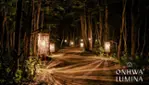 Onhwa' Lumina - Enchanted night walk Onhwa' Lumina - Enchanted night walk