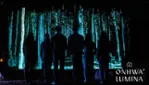Onhwa' Lumina - Enchanted night walk Onhwa' Lumina - Enchanted night walk