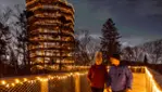 LUMAGICA – The Treetop Walk Lights Up