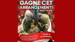 Le Cactus Fleuri - Christmas special : 20% - 50%