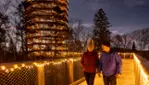 LUMAGICA – The Treetop Walk Lights Up LUMAGICA – The Treetop Walk Lights Up