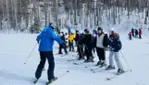 Experience Winter at Centre Vorlage Experience Winter at Centre Vorlage