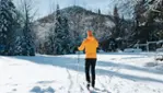 Parc du Massif du Sud - Winter Activities