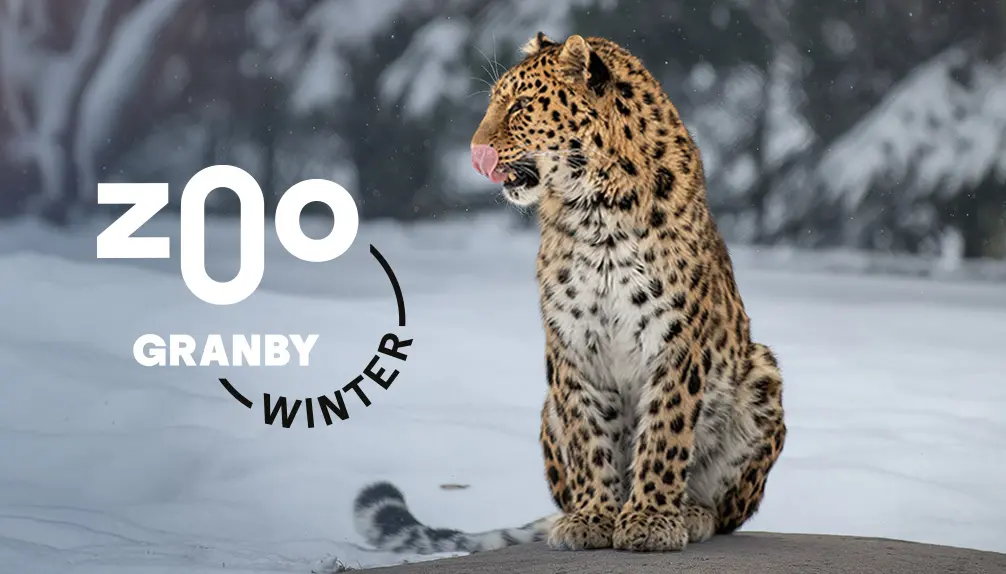 Granby Zoo: Québec’s largest family animal park