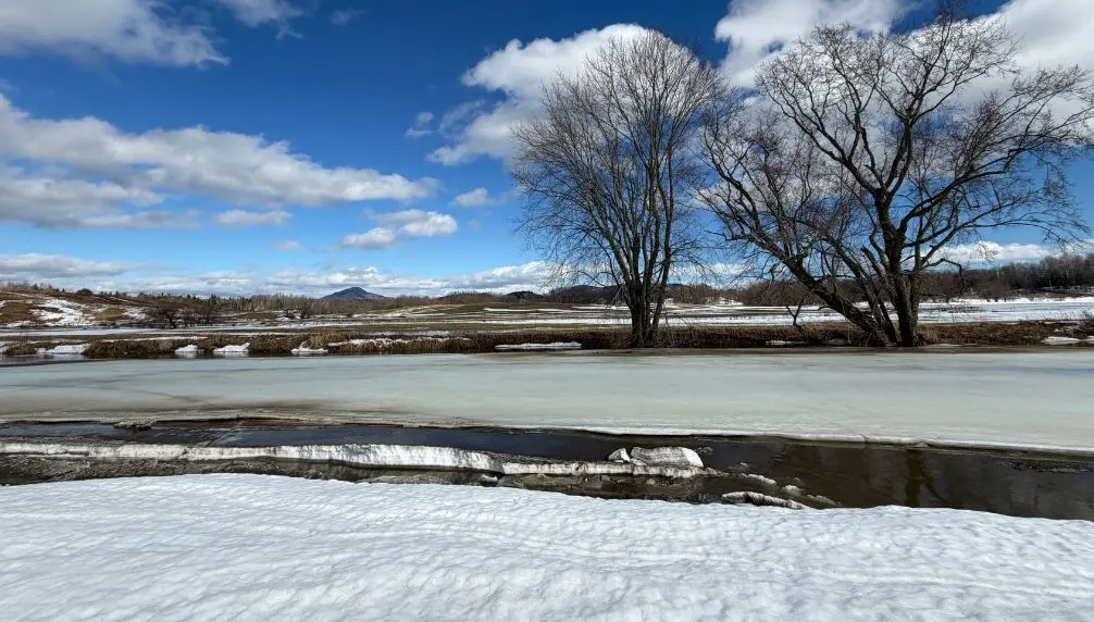 Sherbrooke Museum of Nature and Science