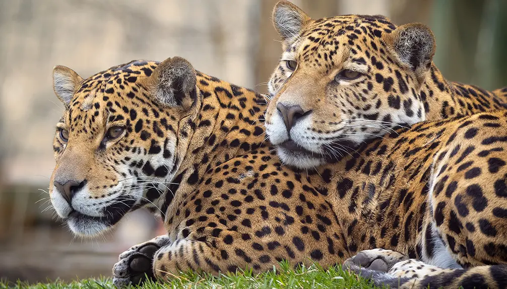 Granby Zoo: Québec’s largest family animal park
