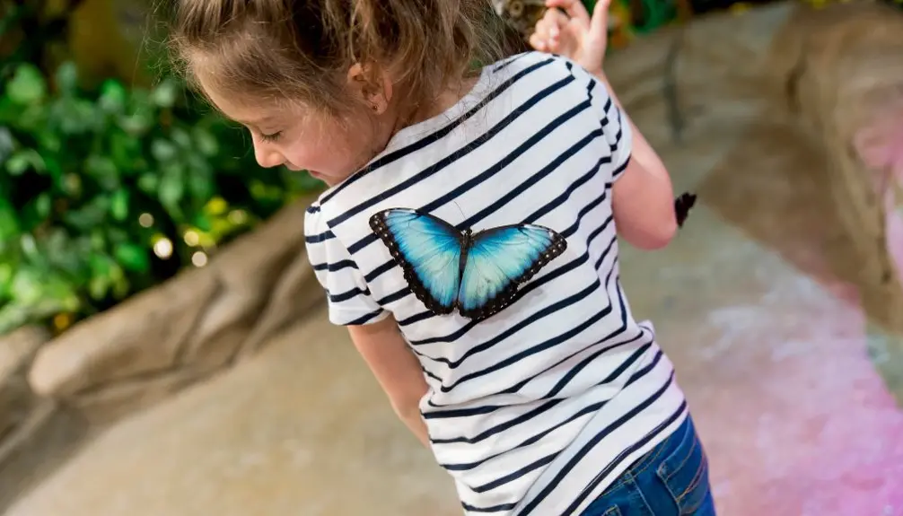 BFLY Brossard - Amusement centre