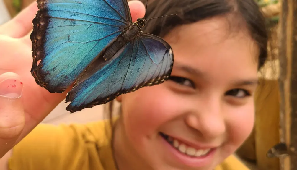BFLY Amusement Park in Quebec City