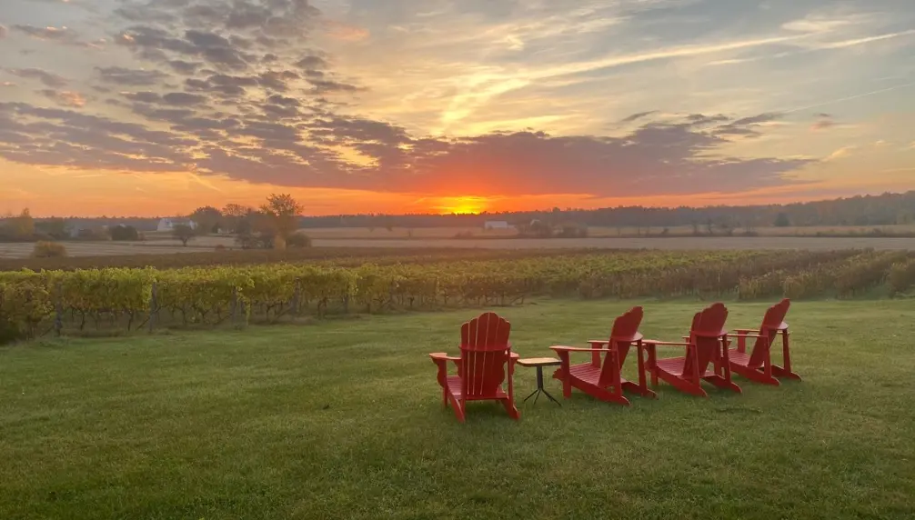 Cortellino Winery - A Corner of Italy in Montérégie