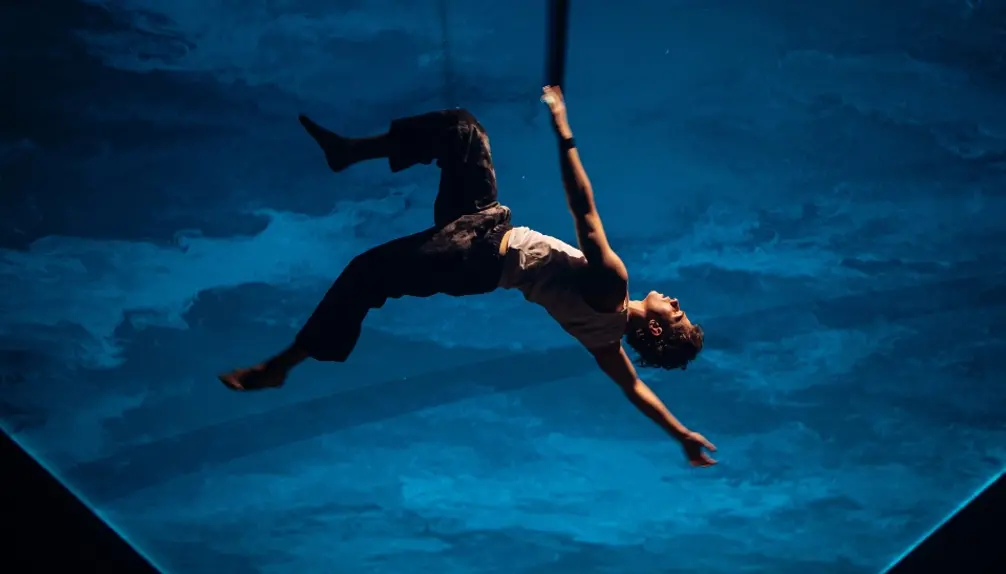 TOHU - Circus Shows