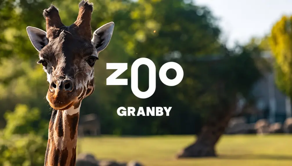 Granby Zoo Animals - Rides - Water park