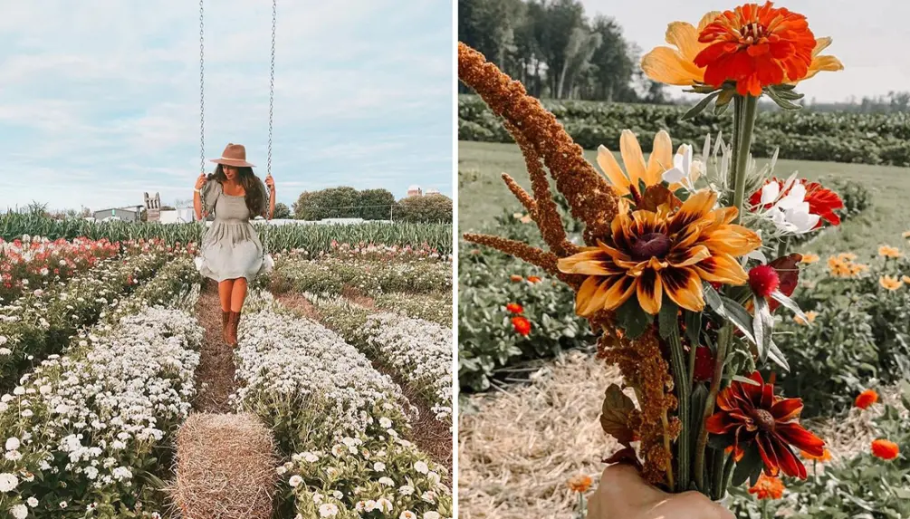 La Belle de Coteau-du-Lac: Your Family Agrotourism Destination