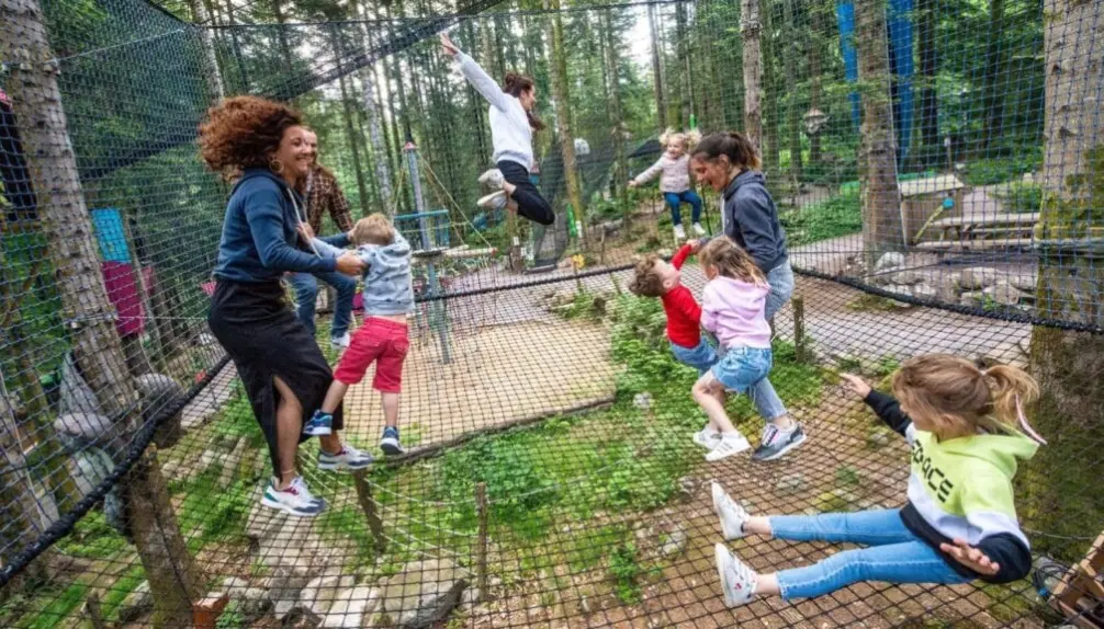 Bois des Lutins Drummond | Magical Forest Adventure
