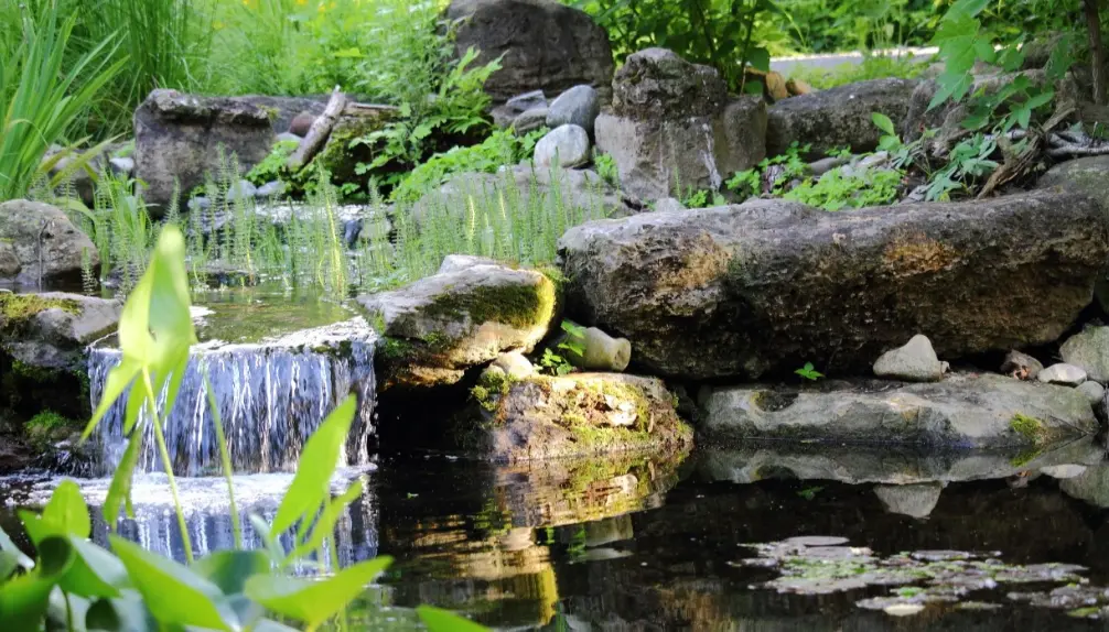 Jardin Daniel A. Séguin - Visit our Gardens