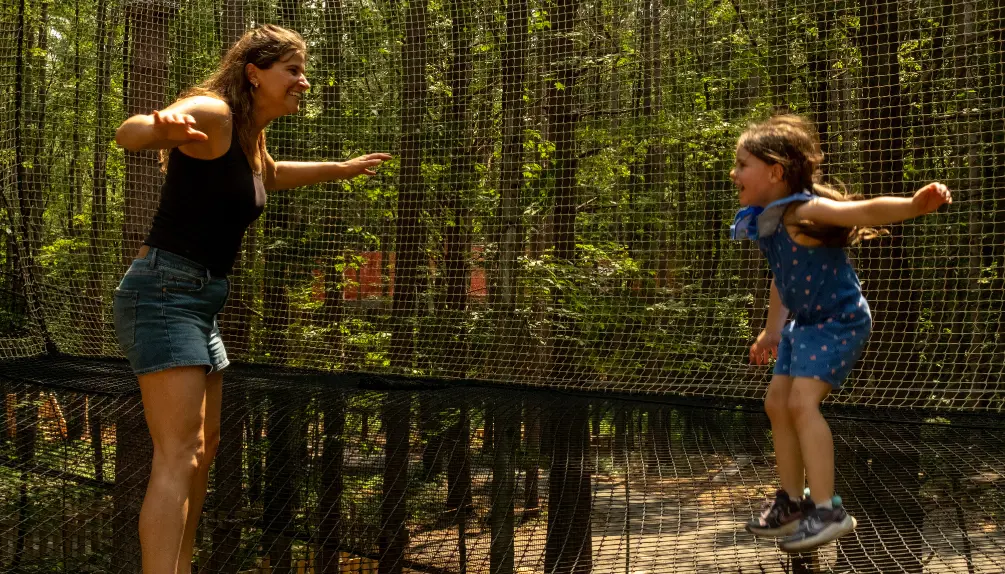 Bois des Lutins Drummond | Magical Forest Adventure
