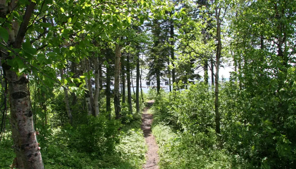 Port-Cartier: A Destination Between River, Forest and Adventure