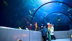 Aquarium of Quebec 