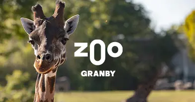Granby Zoo Animals - Rides - Water park
