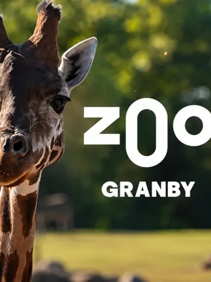 Granby Zoo Animals - Rides - Water park