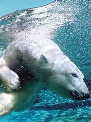 Aquarium of Quebec