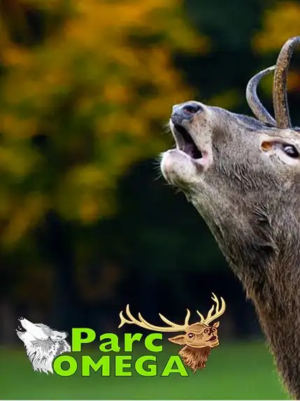 Parc Omega