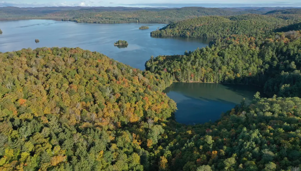 Discover Forêt la Blanche