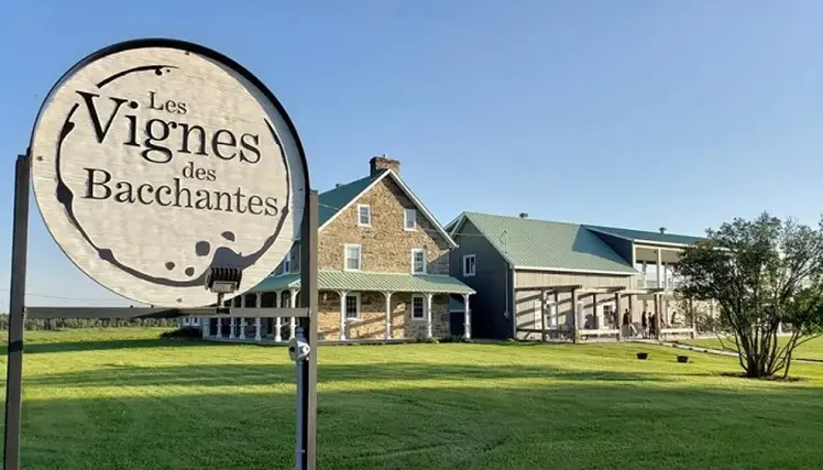 Les Bacchantes Vineyards