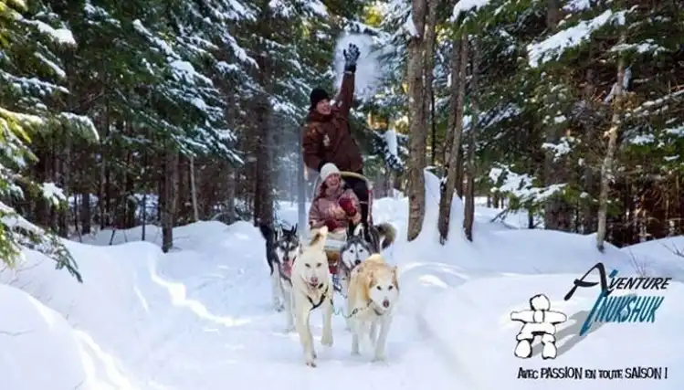 Inukshuk Adventures: Dog Sledding ride