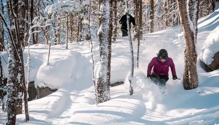 Avalanche Tremblant: Pure Adrenaline on the Slopes