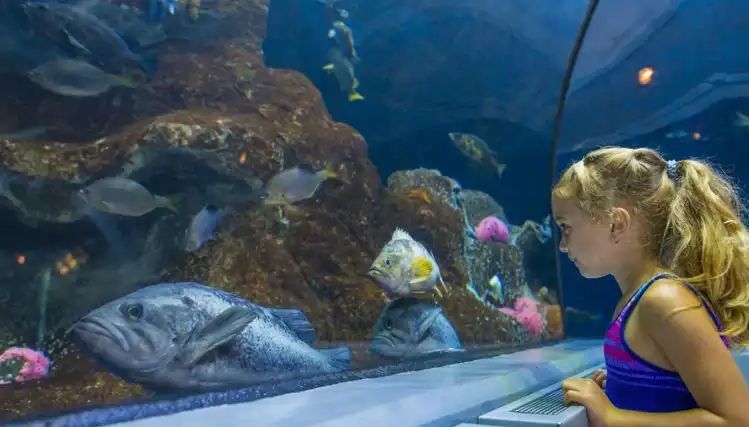 Aquarium de Québec: Marine Adventure for the Whole Family During Break Week