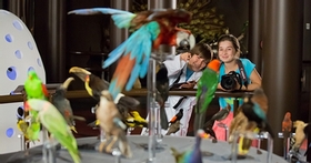 Sherbrooke Museum of Nature and Science